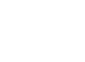 LOGO_SU_W